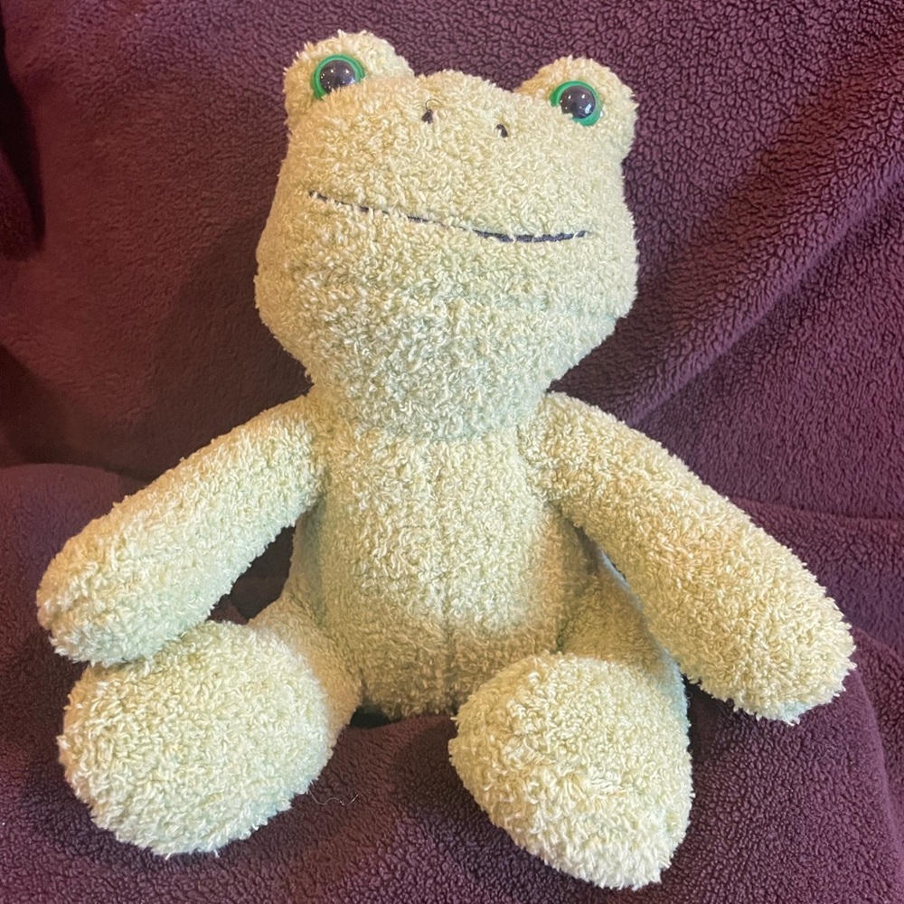 Frog Plushie (NWT)